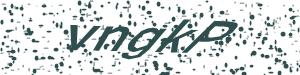 Captcha-Code
