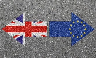 The United Kingdom's exit from the Single Market: a soft agreement