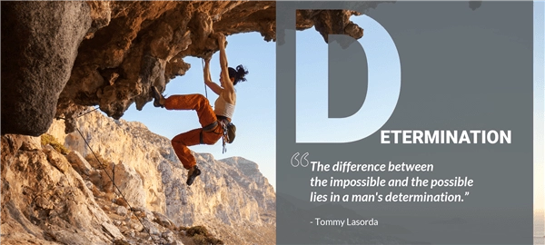 values determination fercam
