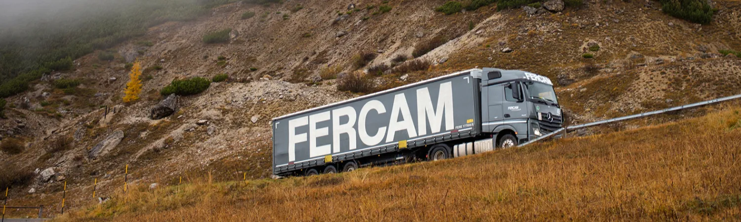 FERCAM Transport Torino - Trasporti FTL e LTL